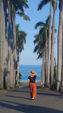 Beautiful scenery along Huayuan Coconut Grove Avenue, Taimali Township, Taitung County, Taiwan