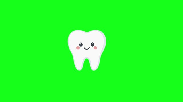 Healthy tooth animated happy clean tooth character smiling and shining brightly 4k chroma key green screen background