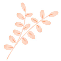 Obraz premium Peach Botanical Branch Illustration