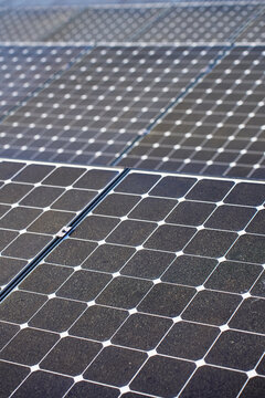 Solar panels for renewable energy