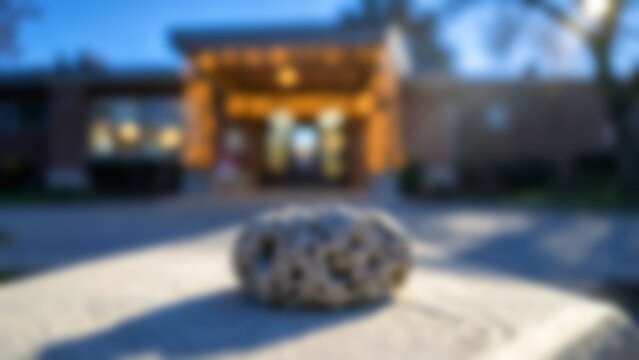 Shallow depth of field foreground