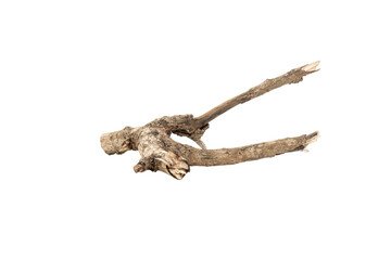 Obraz premium Dry tree branch isolated on white background with clipping path.