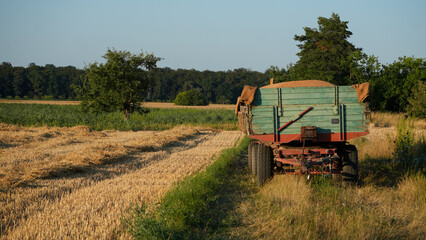 Fototapeta premium old grain trailer parked in a harvested wheat field