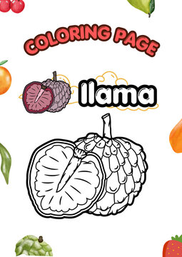 Ilama exotic fruit coloring page for kids, black and white line art, printable tropical fruit coloring book page