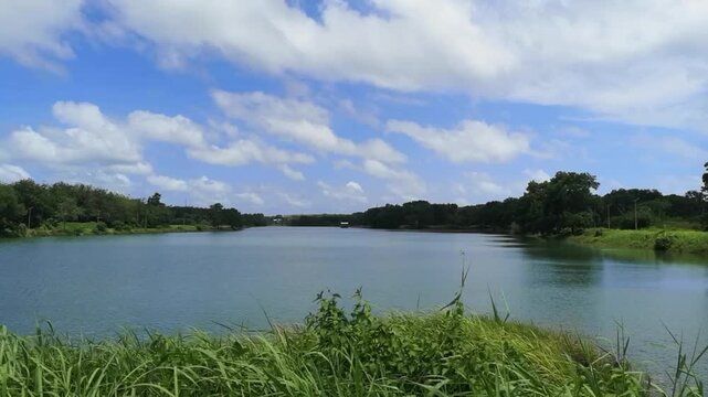 Windblown grass and moving clouds over water