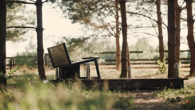 Wooden bench in a forest area surrounded by trees and grass in the daytime