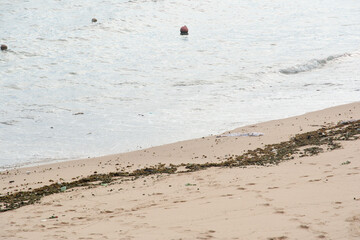 Beach with seaweed and buoys © Thales