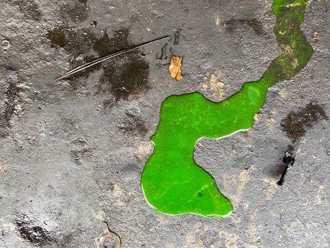  Green radiator coolant spilled onto the floor surface.