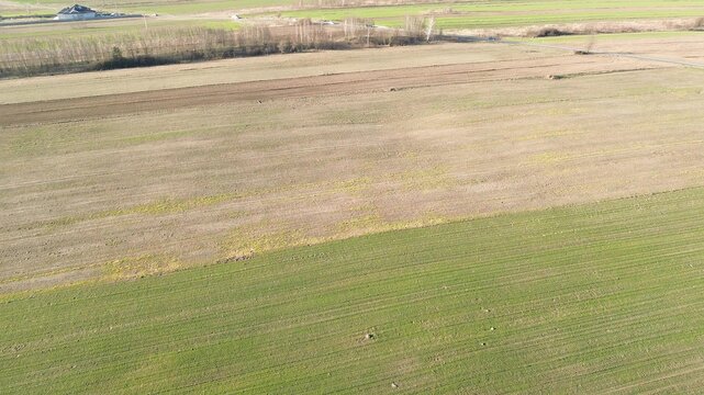 Rural farming area with plowed and unplowed land