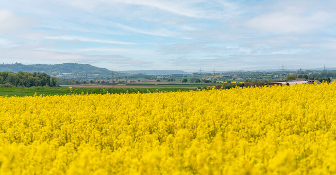 Hohenlohe in Southern Germany