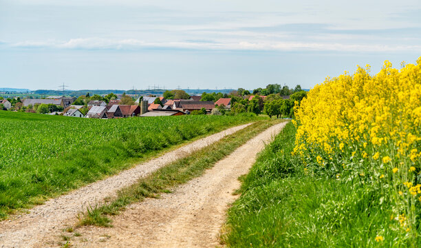 Panoramic rural scenery