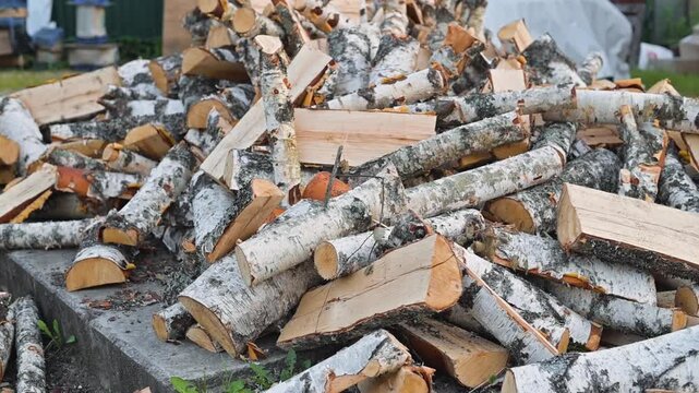 large pile of firewood stacked in a backyard. The wood consists of both large and small logs, prepared for use during colder months