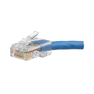 Close-up of a blue Ethernet cable connector with visible wires and pins on a white background