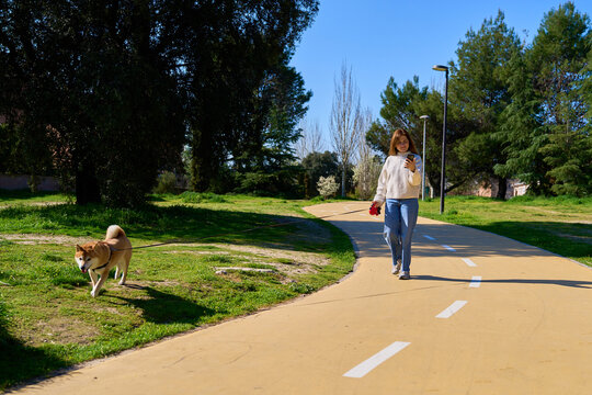 Mature woman walking shiba inu dog in park using smartphone