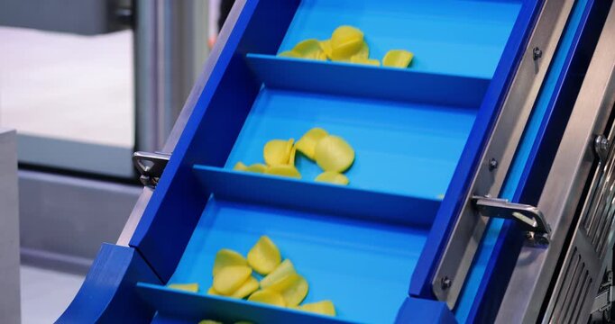 Blue bucket conveyor carries measured potato chip portions uphill. Automated food line transfers snack pieces toward next packaging and processing stage