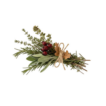 Tied Bundle of Fresh Culinary Herbs Rosemary Sage and Thyme PNG