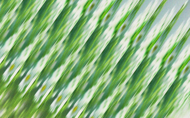 Fototapeta premium Lush green and white abstract diagonal pattern with a soft textured blur resembling natural plant elements and organic growth