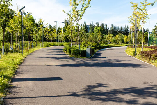 Choose at an outdoor crossroads