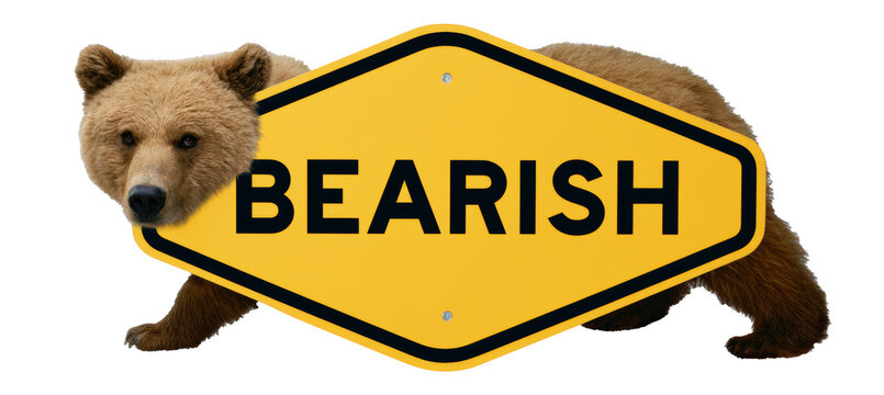 Bear animal symbol of bearish. Economy business market. Generative AI technology.