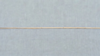 Fototapeta premium Thin dried grass stem placed horizontally across the center of a light grey fabric background
