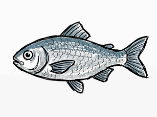 Fototapeta premium Featuring Handdrawn Whole Fish Outline Dynamic High-Quality Stock Image