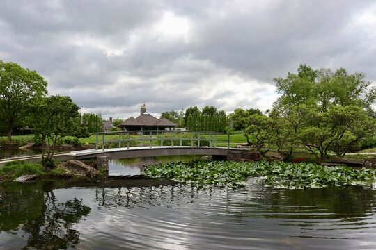 The bridge over the pond in the park.