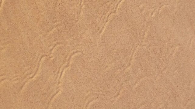 Sand patterns in a desert landscape under bright sunlight with no objects