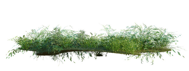 Philodendron hederaceum, Pteris ensiformis and Radermac tree shrub, plant bush, cutout, isolate transparent background, Detailed grassy border with vibrant green hues, perfect for backgrounds © Peter Hai
