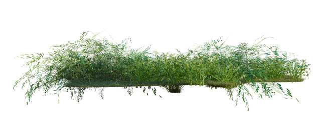 Philodendron hederaceum, Pteris ensiformis and Radermac tree shrub, plant bush, cutout, isolate transparent background, Lush green grass patch with a realistic texture © Peter Hai