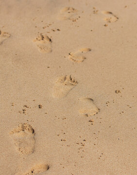 A beach with footprints in the sand