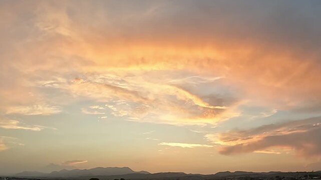 Atardecer en ElChe Alicante, Espa&ntilde;a