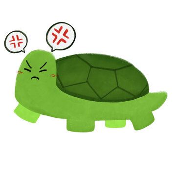 Tortoise angry cute animal illustration art