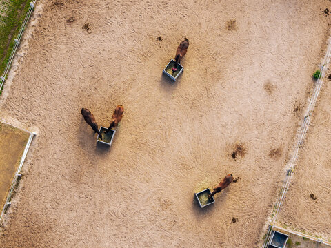 Top-down drone view shows four horses feeding from metal hay boxes inside sandy paddock enclosed by electric fencing. Textured ground, hoof marks and sparse manure create rural equestrian pattern