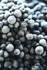 Fresh blueberries arranged on a clean white background. The image highlights the deep blue color, natural texture, and freshness of the berries in a simple minimalist food composition © Petra