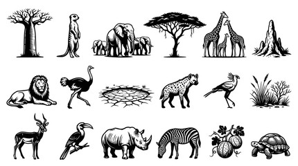 Obraz premium Black and White African Wildlife Vector Collection - Safari Animals and Plants
