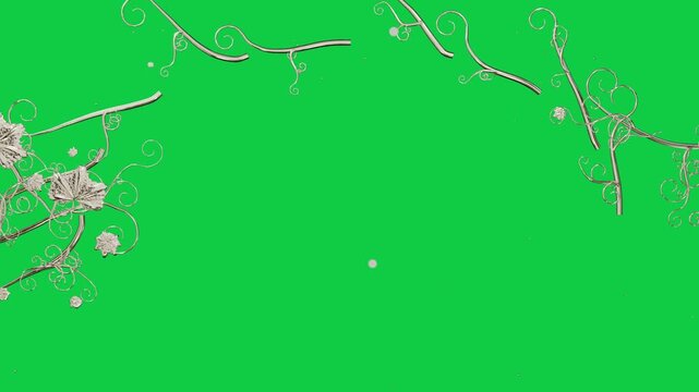 Tendril emerging from left edge sparking vines opening and arching, forming frame on transparent bg