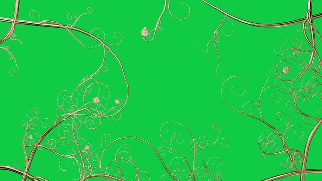 Edge tubes opening golden vines coiling spiraling bud sliding to form frame on transparent backdrop