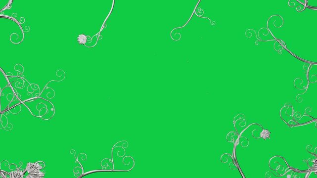 White filigree beginning from scattered specks on transparent canvas, unfurling and framing center