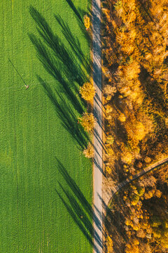Aerial view of highway road through green field and autumn yellow forest landscape. Top view flat view of highway motorway freeway from high attitude. Trip and travel concept. Vertical photo