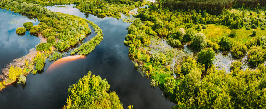 Aerial view. Green forest, meadow and river marsh landscape in summer. Top view of european nature from high attitude in summertime. Bird's eye view. Belarus