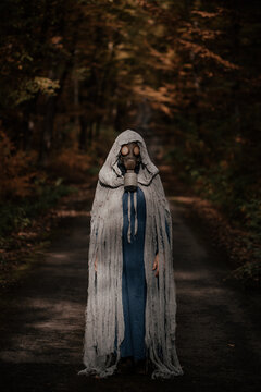 Spooky and scary Halloween themed image in a dark forest. 
