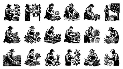 Fototapeta premium Farmers Harvesting Various Crops in Black and White Line Art Style