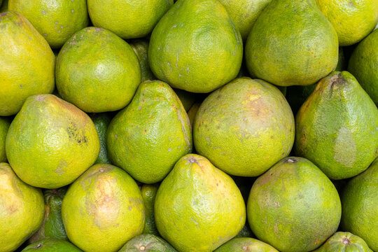 Fresh Green Pomelos Piled Together at Traditional Market
