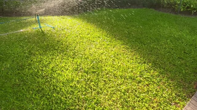 Garden sprinkler on the grass
