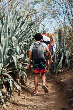 Famille en vacances &agrave; La R&eacute;union. Vacances sous les tropiques. Randonn&eacute;e sur un chemin en for&ecirc;t tropicale. 