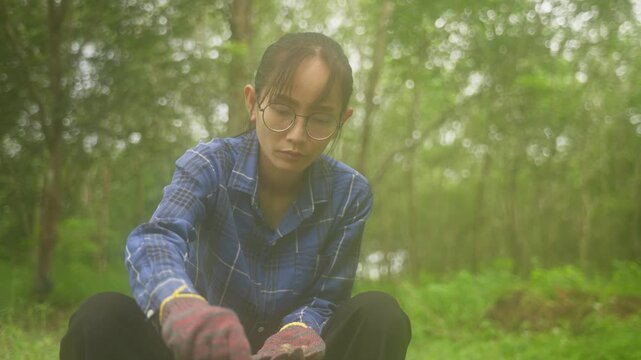 Authentic Thai rubber farmer working outdoors in a rubber plantation.
