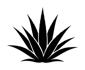 Naklejka premium PNG Bold agave silhouette design.