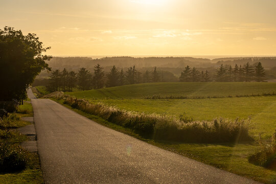 Tornby Bjerg, Denmark A pastoral green and hilly  landscape at sunset.