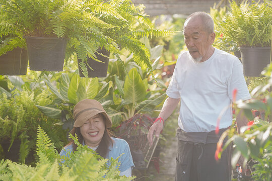 Happy Asian senior father and daughter smiling together while working in plant nursery. Elderly male owner and female assistant in greenhouse, family business, active aging and wellness lifestyle.