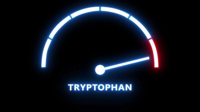 Tryptophan level gauge indicator: neon glowing medical science animation for nutritional supplement and sleep health research